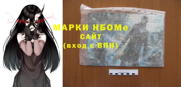хмурый Гусь-Хрустальный